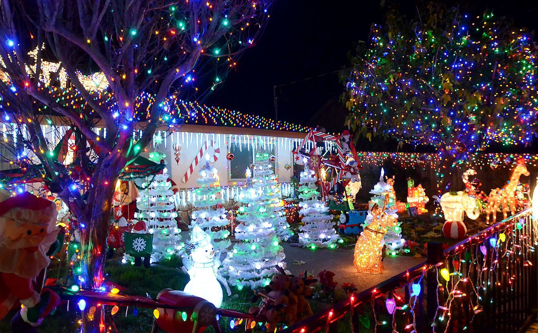 Napa Christmas lights